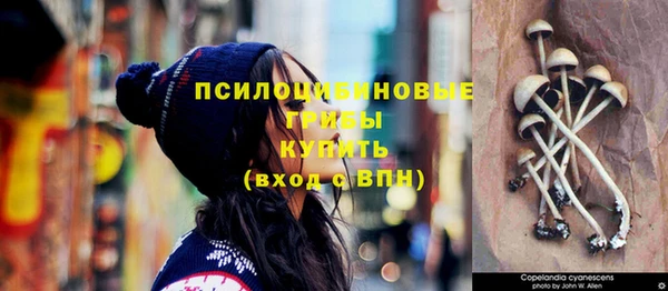 гашиш Абаза