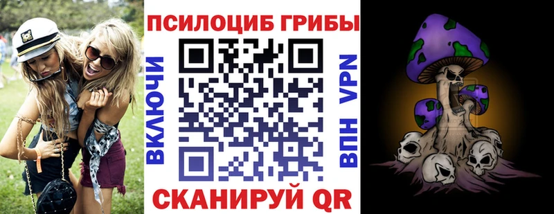 Псилоцибиновые грибы прущие грибы  Судогда 